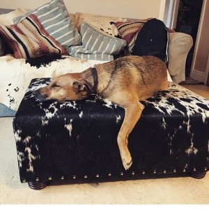 cowhide ottoman, cowhide furniture, cowhide footstool, Nguni, interiors, custom made bespoke cowhide furniture, luxury interiors, interior design