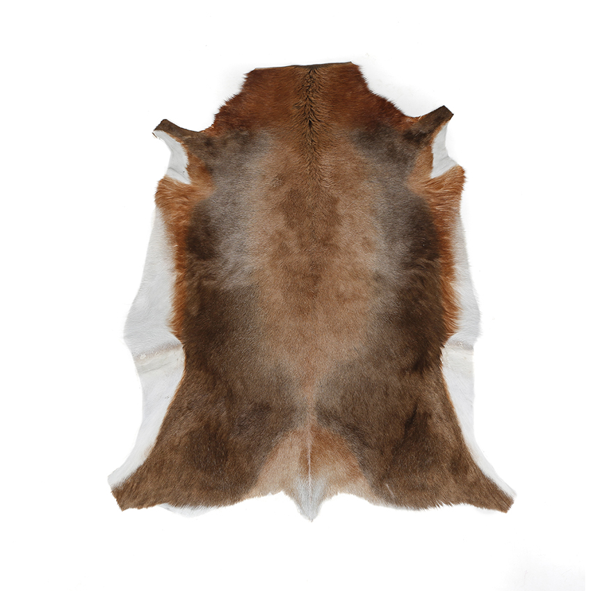 Zulucow Blesbok Rug, Hide, Skin, Home Interiors, Hygge, Soft Furnishings, Sustainable Interiors