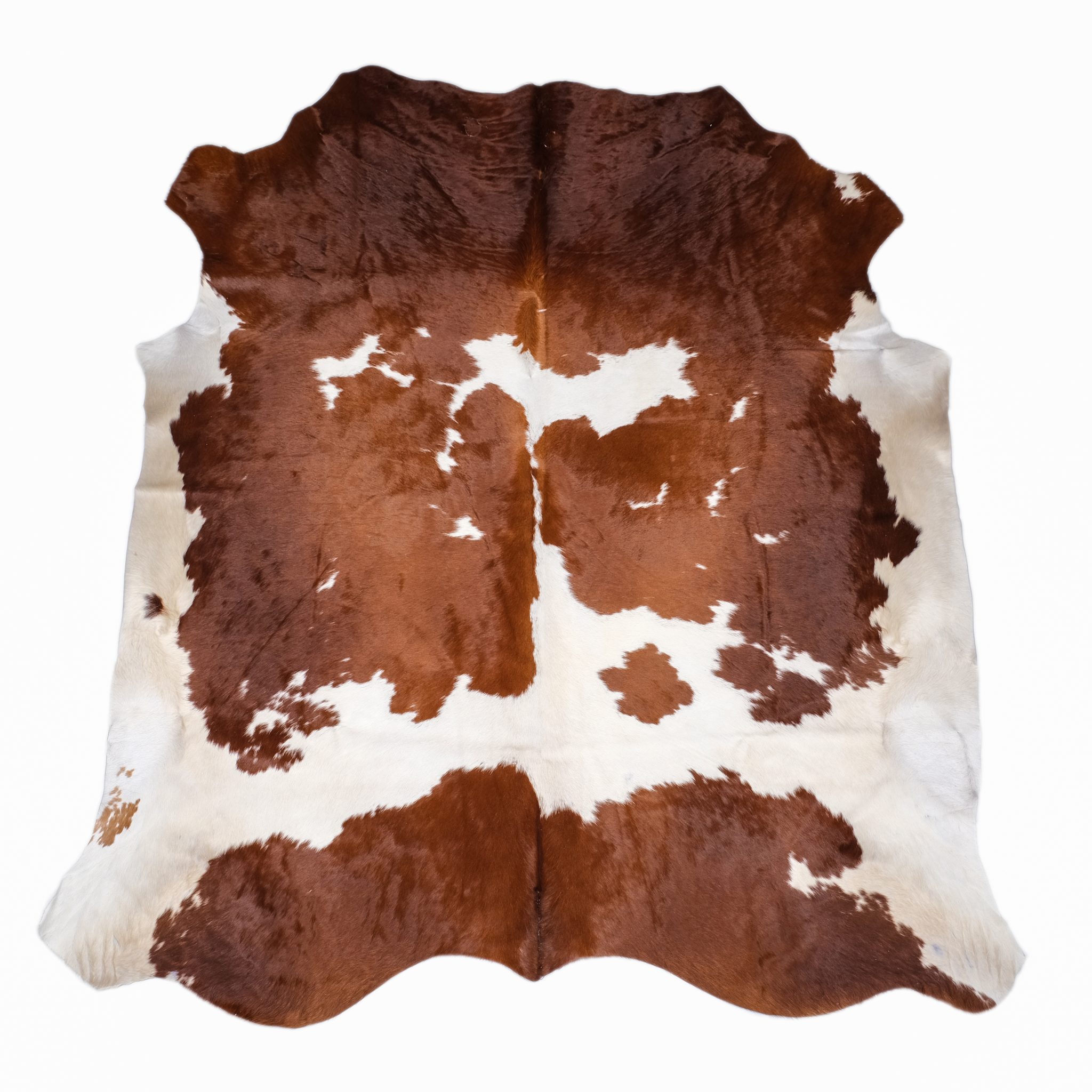 Brown and White Cowhide Rugs Zulucow