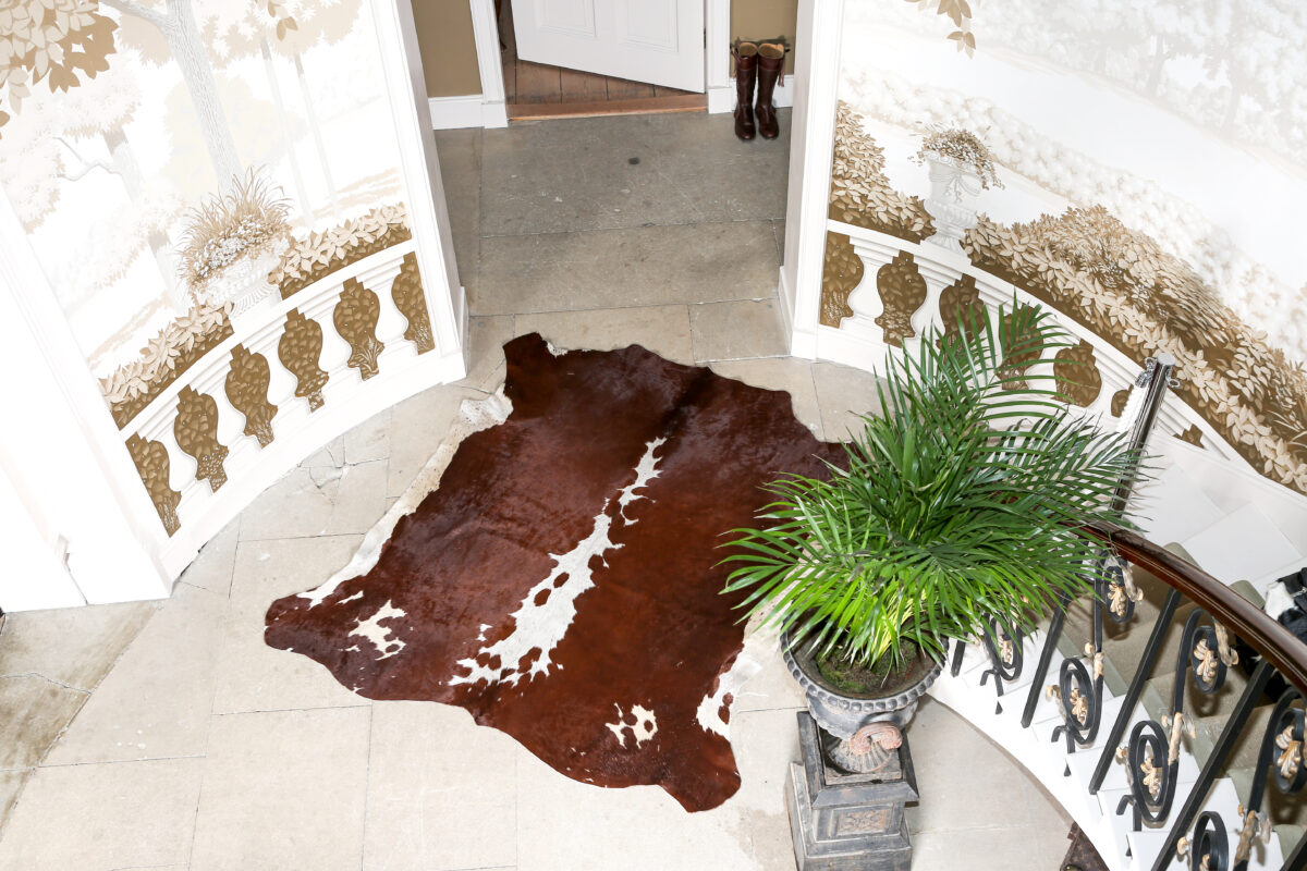 Brown and white Nguni cowhide rug on the floor, sustainably sourced from South Africa, with natural texture and unique markings for rustic home decor inspiration