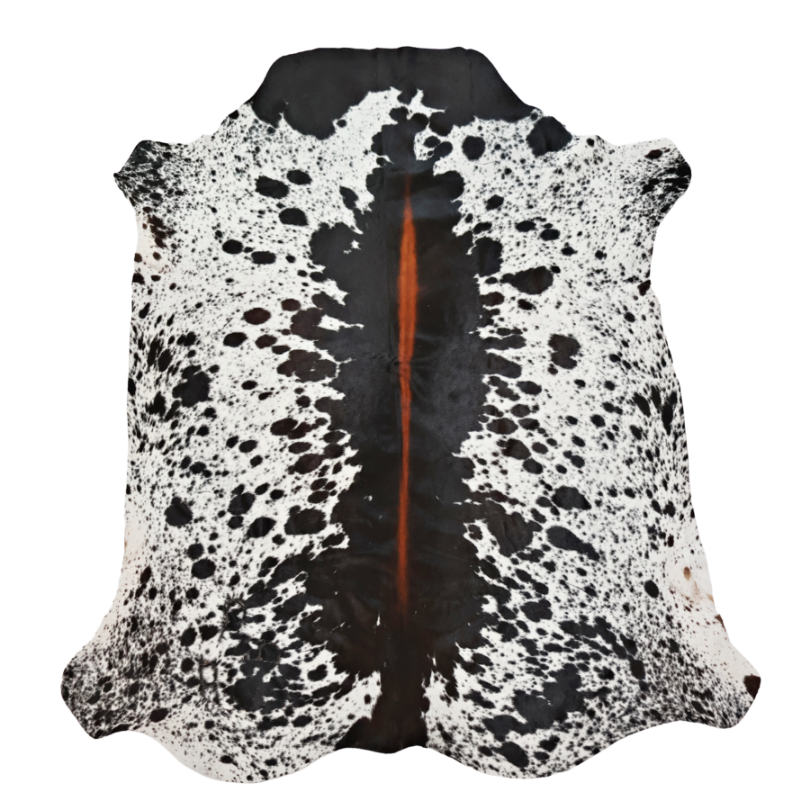 Dramatic, Real Nguni cowhide rug with striking tricolour black and white with copper flash markings, sustainably-sourced South Africa