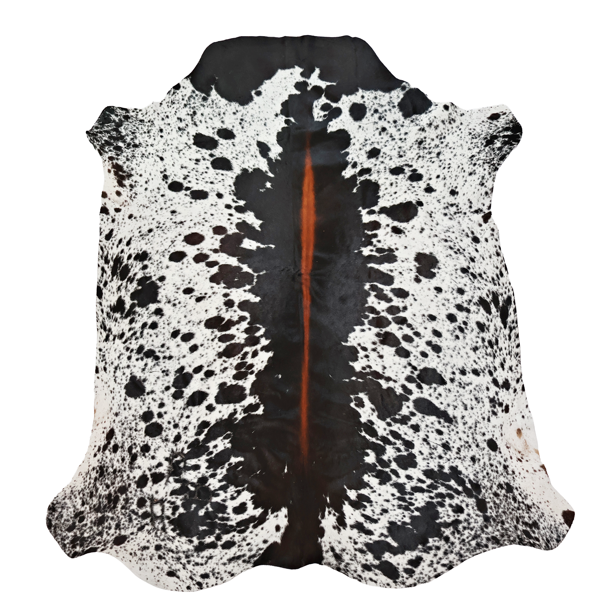 Dramatic, Real Nguni cowhide rug with striking tricolour black and white with copper flash markings, sustainably-sourced South Africa